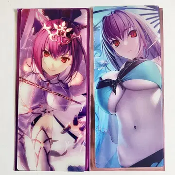 FGO 최종 재림전 편성 화면풍 카드 스카사하=스카디 2종