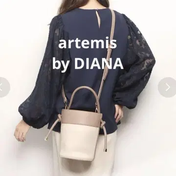 artemis by DIANA 스트랩 부착 2WAY 바이컬러 버킷 백