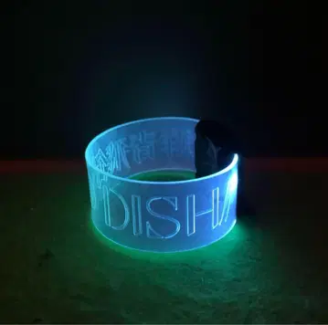 DISH// ARENA TOUR 2024-2025 군청비행 라이트밴드