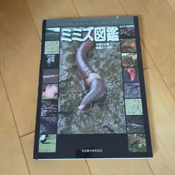 지렁이 도감 이시이 미즈호 저