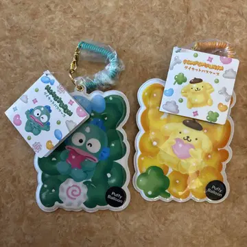 패스 케이스