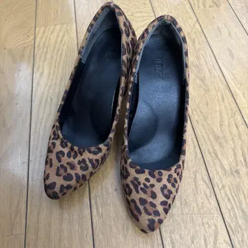 인기 레오파드 무늬 펌프스 AZUL by moussy