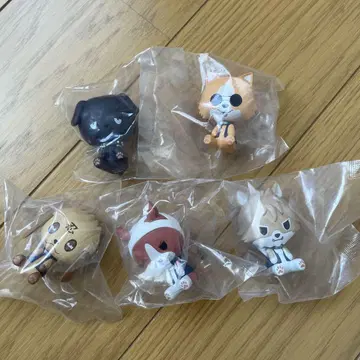 닌자견 쵸코놋코