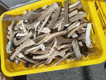 사슴 뿔 핸드메이드 소재 약 25kg 불규칙 모양