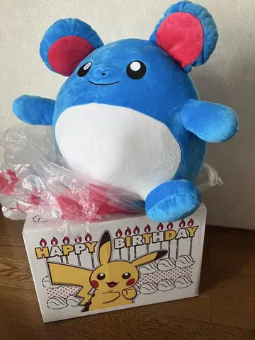 포켓몬 센터 온라인 생일 박스 택 포함 포켓몬 마릴 봉제 인형