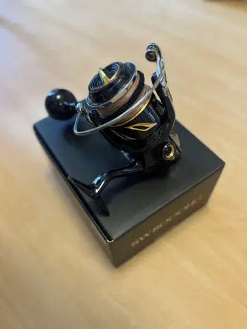 19 스텔라 8000HG