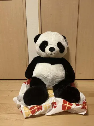 점보 팬더 미사용