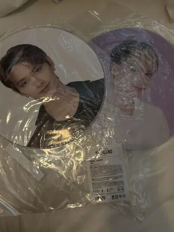 SEVENTEEN 준 부채