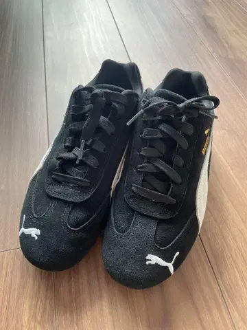 puma 스피드캣고 23.5