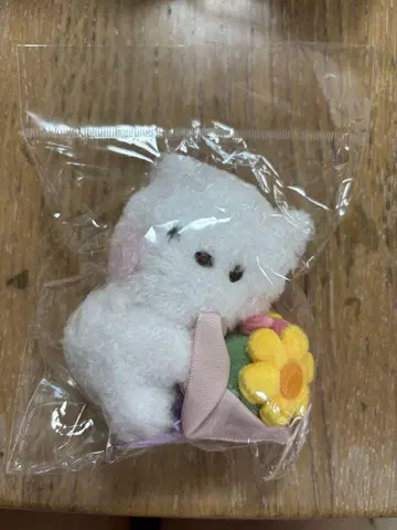 BT21 minini 부케 마스코트 RJ 키링