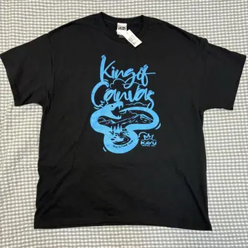 KAVU T셔츠 반팔