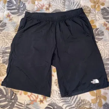 THE NORTH FACE 블랙 숏팬츠