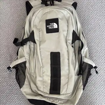 THE NORTH FACE 그레이 백팩