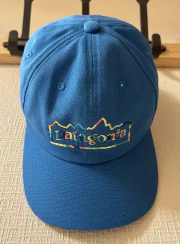 Patagonia 자수 캡 파란색