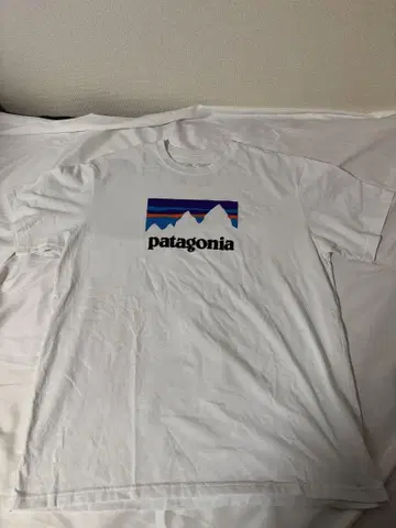 Patagonia Ms Shop Sticker Responsibili-T