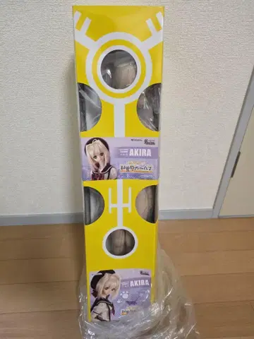보크스 DDS 방과후 아키하바라 여아 아키라 1st