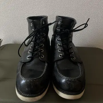 redwing 아이리쉬 세터
