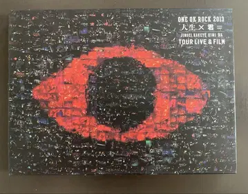 ONE OK ROCK 2013 TOUR LIVE & FILM