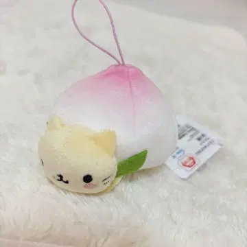 냥냥냥코 마스코트 허벅지냥코만 남코
