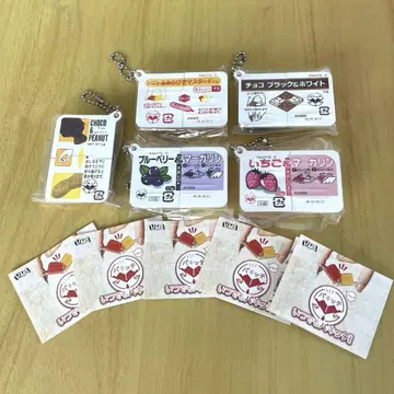 언제나 파킷테 5종 세트 컴플리트