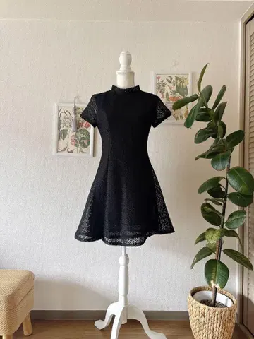Zara 세련된 레이스 원피스