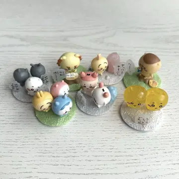 초코 서프라이즈 치이카와 세트