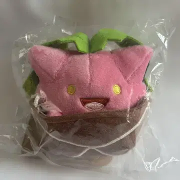 Pokmon Grassy Gardening 하네코