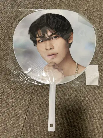 RAYS 라울 부채