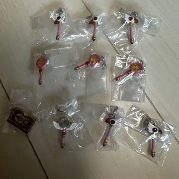 카드캡터 사쿠라 메지루시 액세서리