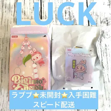 POP MART BigintoEnergy 러브브 폰 참 LUCK