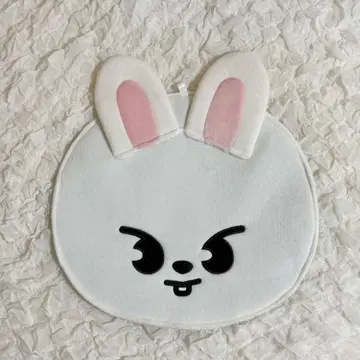 straykids 스키즈 리비트 부채 커버