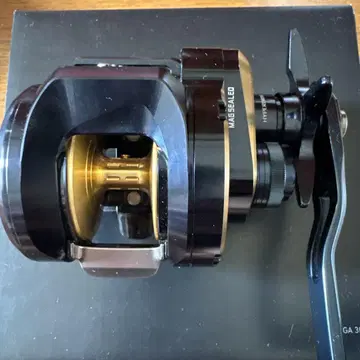 DAIWA SALTIGA 300H 베이트 릴