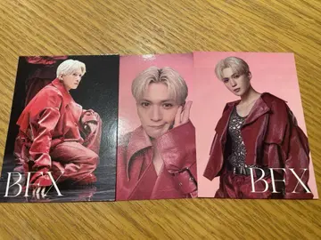 야기 유세이 BFX 트레카 세트