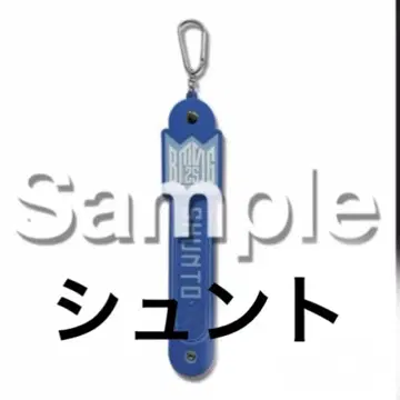 슌토 S상