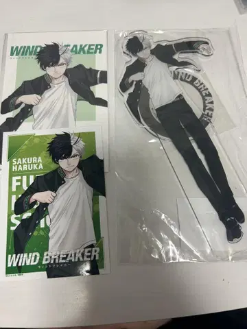 WIND BREAKER 윈브레 사쿠라 하루카 아크릴 스탠드