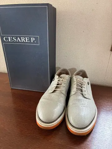 CESARE PACIOTTI (체사레 파치오티)