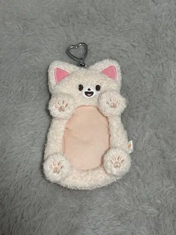 아이엔 트레이딩 카드 홀더