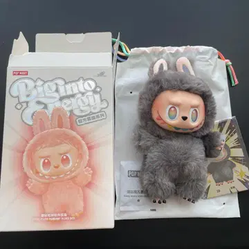 LABUBU Big into Energy 정품 시크릿 ID 도서 아