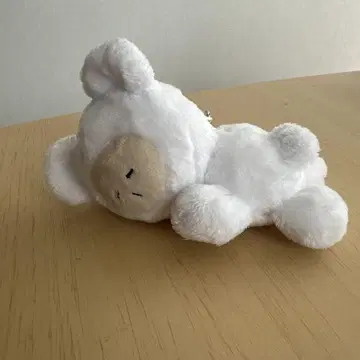 미야카와 군 미야가와 타이세이 위스피 봉제 인형 키링
