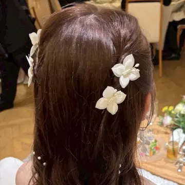 ANNAN WEDDING 나비 헤어핀 4피스