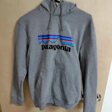 patagonia 그레이 남성용 후드티