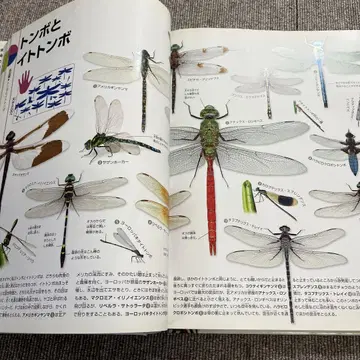 어린이 생물 도감