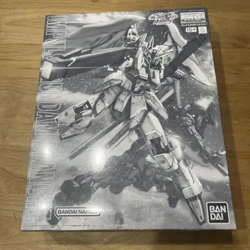 MG 1/100 임펄스 건담 블랑슈