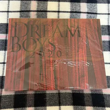 DREAM BOYS 2020 팜플렛