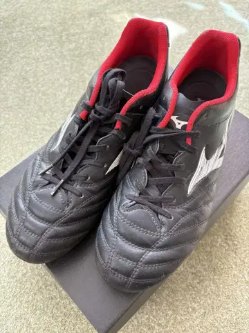 Mizuno 모나르시다 네오 25cm