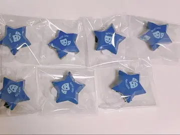 홀로스타즈 아스텔 레다 링 라이트