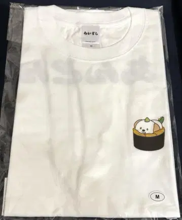 RIIZE 라이즈 팝업 셔츠 앤톤
