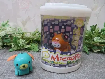 정 AA3116 MicroPets 마이크로펫 타카라토미 잼 키위
