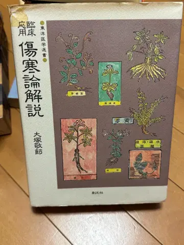 상한론 해설 오쓰카 게이세쓰 저 364 페이지