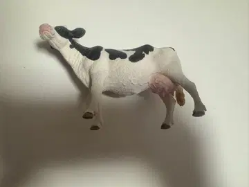 슐라이히 홀슈타인